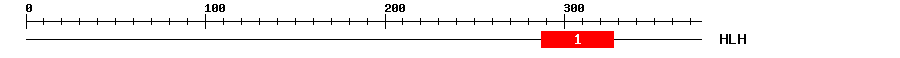 Signature Domain