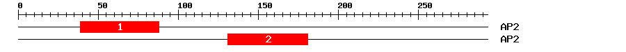 Signature Domain
