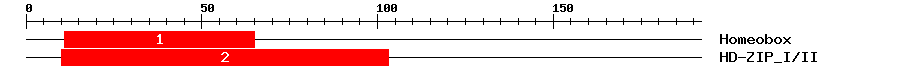 Signature Domain