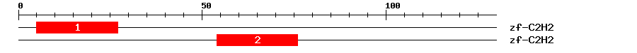 Signature Domain