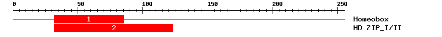 Signature Domain