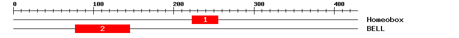 Signature Domain