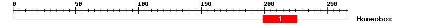 Signature Domain