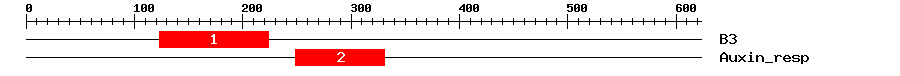 Signature Domain