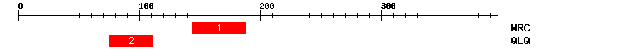 Signature Domain