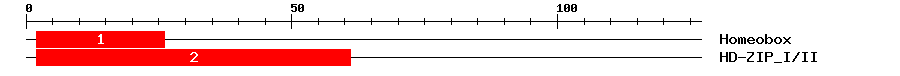 Signature Domain