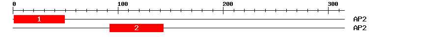 Signature Domain