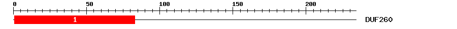 Signature Domain