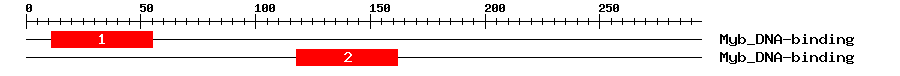 Signature Domain