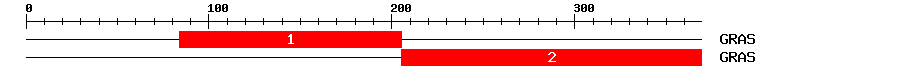 Signature Domain