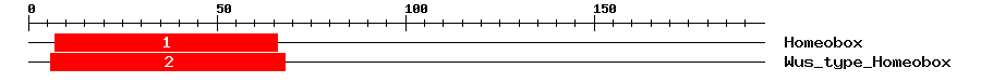 Signature Domain