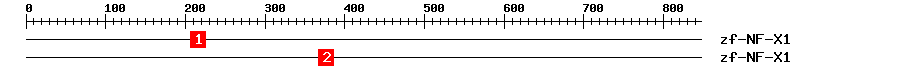 Signature Domain