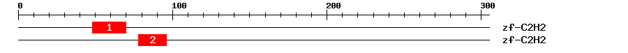 Signature Domain