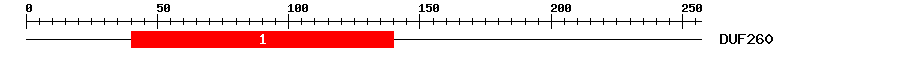 Signature Domain