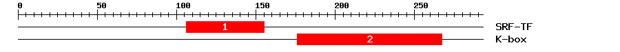 Signature Domain