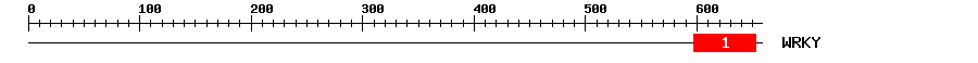Signature Domain