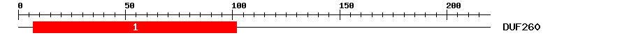 Signature Domain