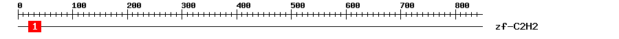 Signature Domain