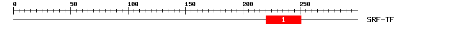 Signature Domain
