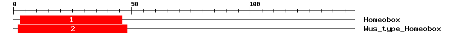 Signature Domain