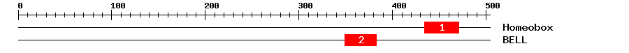 Signature Domain