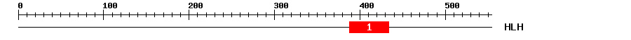 Signature Domain