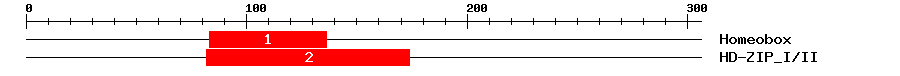 Signature Domain