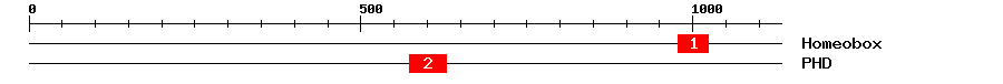 Signature Domain