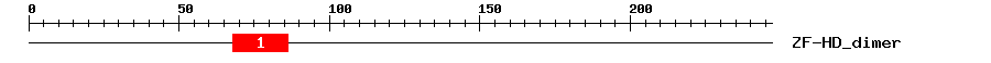 Signature Domain