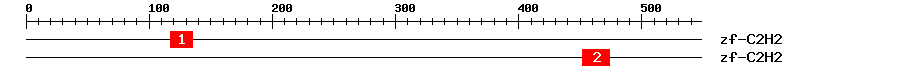 Signature Domain