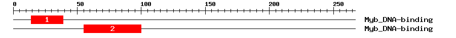 Signature Domain