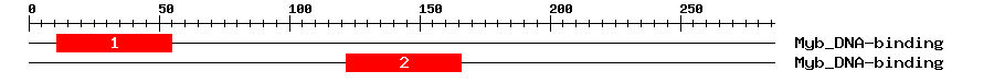 Signature Domain
