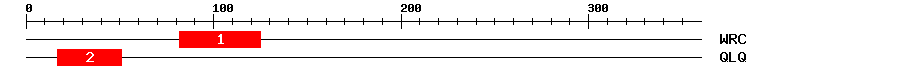 Signature Domain