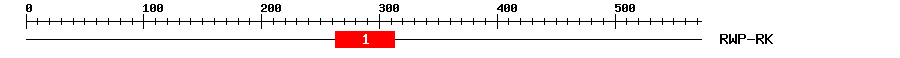 Signature Domain