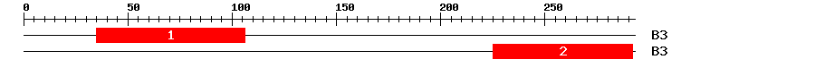 Signature Domain