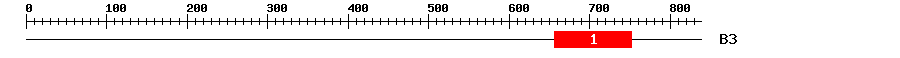 Signature Domain