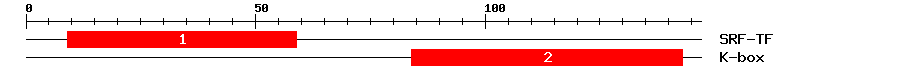 Signature Domain