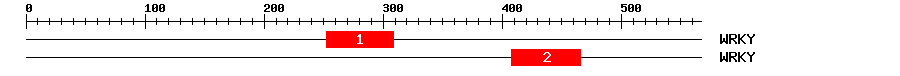 Signature Domain