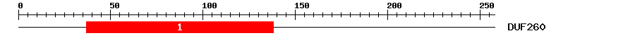Signature Domain