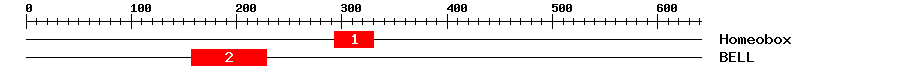 Signature Domain