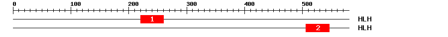 Signature Domain