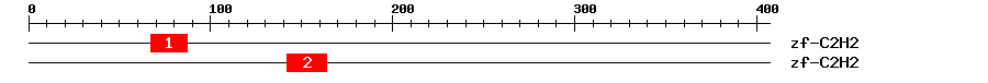 Signature Domain