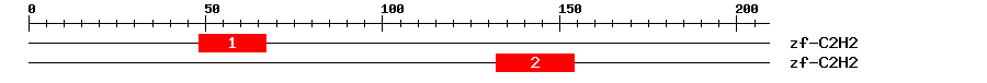 Signature Domain