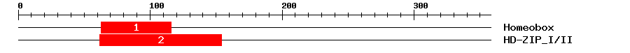 Signature Domain