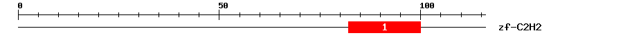 Signature Domain