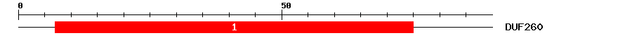 Signature Domain