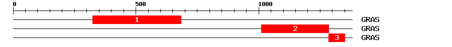 Signature Domain