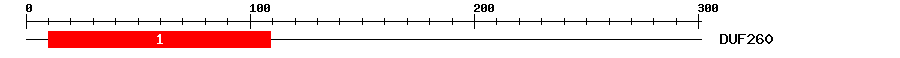 Signature Domain