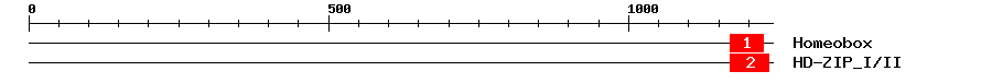 Signature Domain