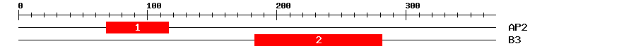Signature Domain